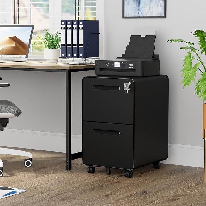 2 Drawer File Cabinet with Lock and 4 Keys, Mobile Metal Filing Cabinet, File Cabinets for Home Office, Under Desk, Pre-Assembly, File Drawer, Letter/Legal/A4 Hanging File Folders
