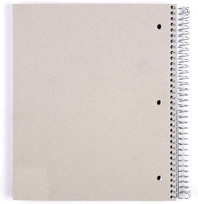 Mintra Office Durable Spiral Notebooks, 5 Subject (Arctic Ice, Wide Ruled 1pk)