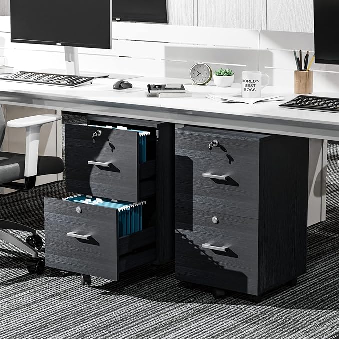 VINGLI 2-Drawer File Cabinet with Lock, Small Rolling Wood Filing Cabinet for Hanging Letter Size Filings with Tabs, Mobile Under Desk File Organizer for Home Office, Classic Black, 27.2" H