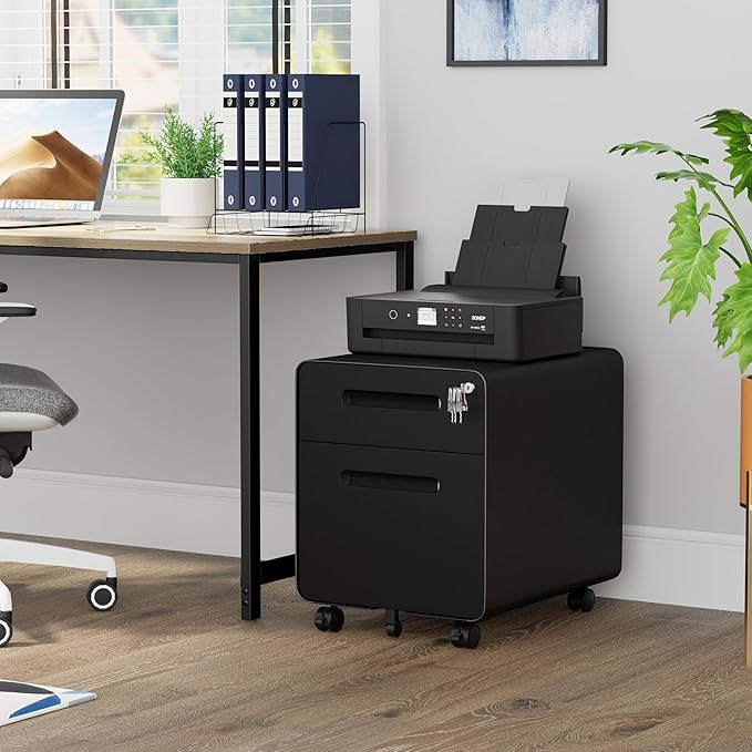 2 Drawer File Cabinet with Lock and 4 Keys, Mobile Metal Filing Cabinet, File Cabinets for Home Office, Under Desk, Pre-Assembly, File Drawer, Letter/Legal/A4 Hanging File Folders