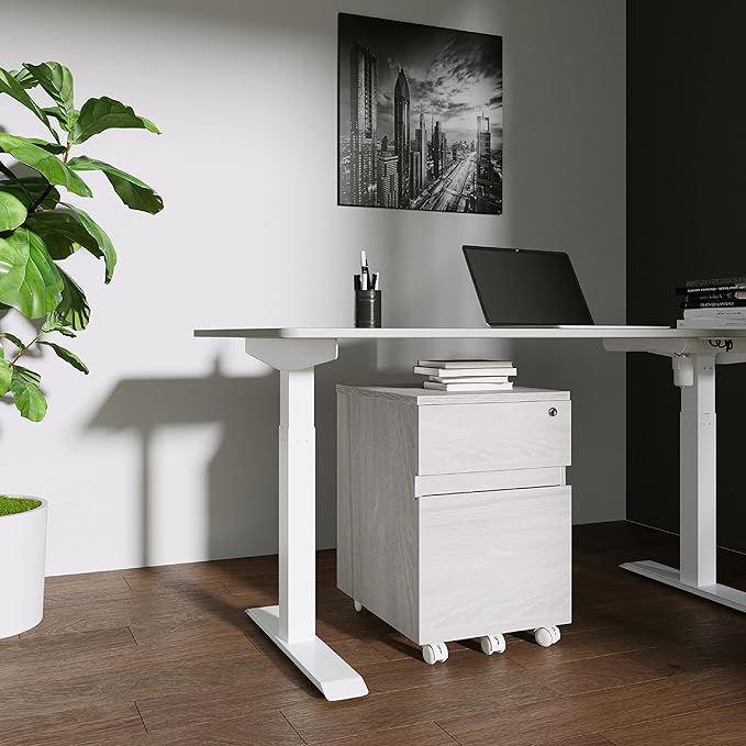 Techni Mobili Rolling Lock and Storage 2 Drawer Vertical Filing Cabinet, 15.75" L x 17.75" W x 23" H,Grey