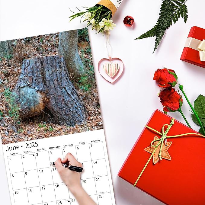 2025 Wall Calendar Funny Natures Dongs, January 2025 - December 2025, Funny Gag Gift for Adults, White Elephant Gift, 12 Months Organizer with D'ck Pics Nature Photos, 12" x 24" Opened