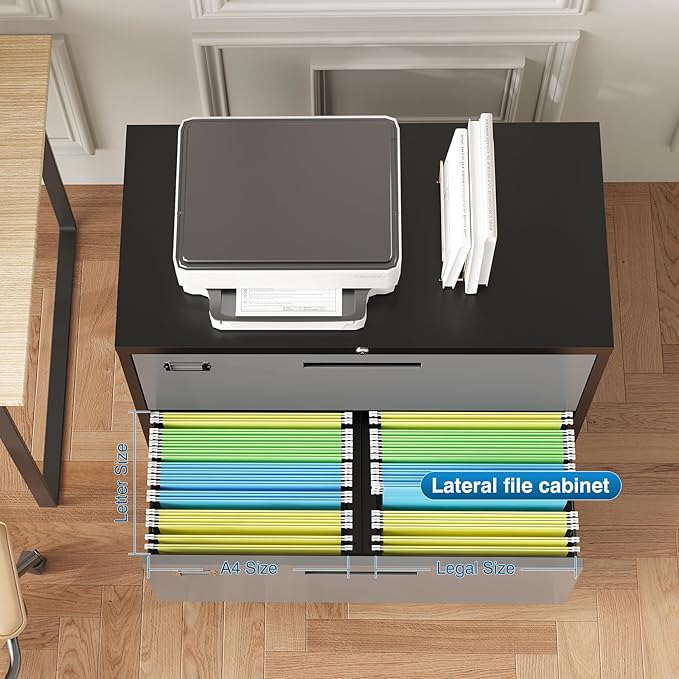 2 Drawer File Cabinet, Lateral Filing Cabinets for Home Office, Office Storage Drawers with Lock, Hanging Files Legal/Letter A4 Size (Assemble Required,Black Grey)