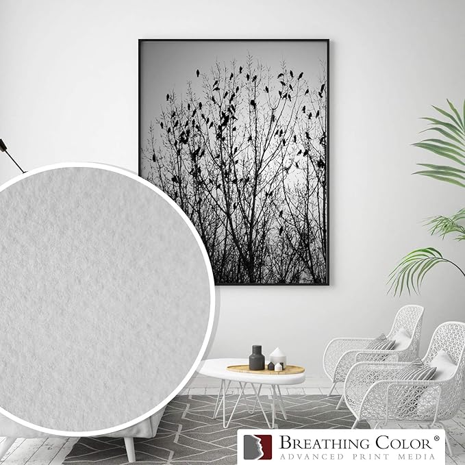 Elegance Velvet 44 in x 40 ft roll is a Premium Matte 310 gsm, Cold Pressed Bright White Museum Grade Fine Art Inkjet Paper, Compatible with Most Dye-Based and Pigment Printers