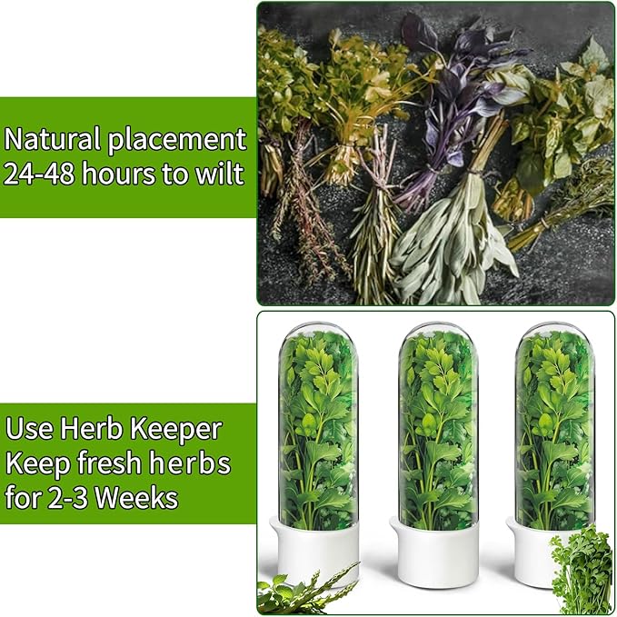 Herb Saver for Refrigerator, Herb Saver Pod Cilantro Containers for Refrigerator, Fresh Herb Keeper for Cilantro, Parsley, Asparagus, Mint, Keeps Greens Vegetables for 2-3 Weeks (Herb Keeper 1Pack)