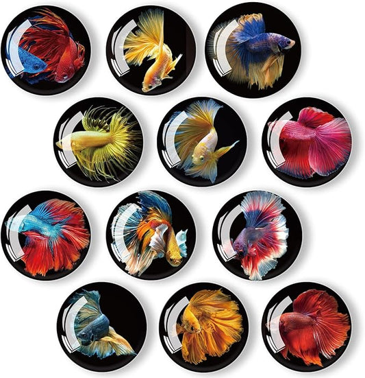 12Pcs Glass Strong Magnetic Refrigerator Magnet Fridge Sticker,Fish Fridge Magnets Decoration for Crafts,Strong Fridge Magnets for Kitchen, School,Office Whiteboard, Cabinet and Dishwasher