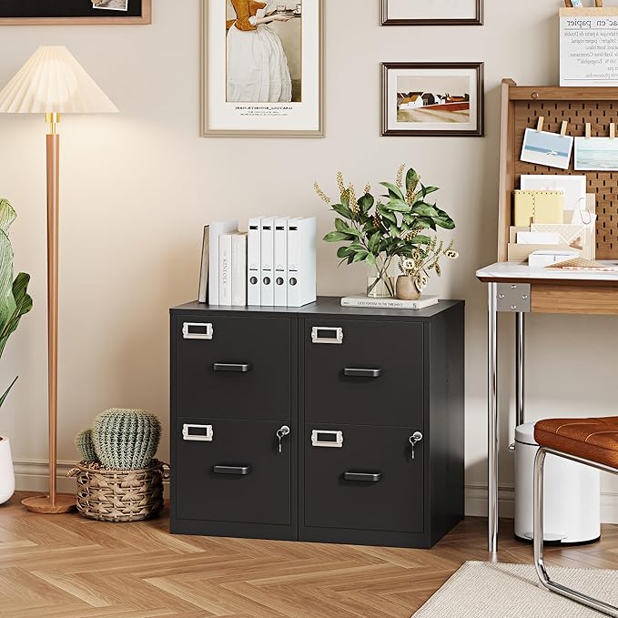 2 Drawer File Cabinet with Lock, 25.4" High Vertical Filing Cabinet, 17.7" Deep Metal Storage Cabinets for Home Office, Letter/Legal/A4/F4 Size, Black(Assemble Required)