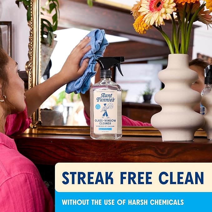 Aunt Fannie's Glass & Window Cleaning Vinegar Spray, Natural Streak-Free Spray, 16.9 Ounces (Pack of 1)