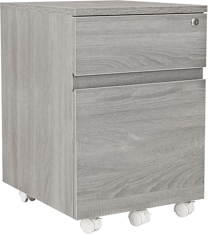 Techni Mobili Rolling Lock and Storage 2 Drawer Vertical Filing Cabinet, 15.75" L x 17.75" W x 23" H,Grey