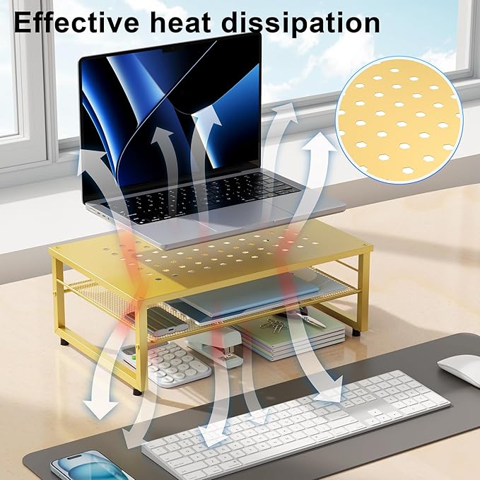 gianotter 2-Tier Metal Monitor Stand Riser, Desk Organizer for Monitor, Office Desk Storage Organizer for Office Supplies (Gold)