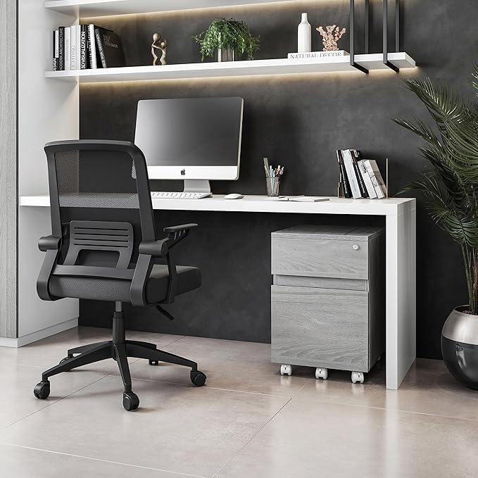 Techni Mobili Rolling Lock and Storage 2 Drawer Vertical Filing Cabinet, 15.75" L x 17.75" W x 23" H,Grey