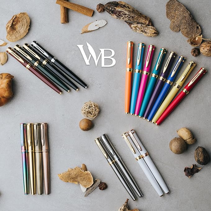 Wordsworth & Black Fountain Pen Set, Medium Nib, Includes 24 Ink Cartridges and Ink Refill Converter, Gift Case, Journaling, Calligraphy, Smooth Writing Pens [Silver Gold], Perfect for Men and Women
