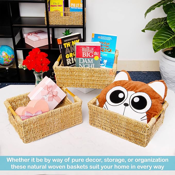 Natural Seagrass Storage Basket with Handle, Rectangular Woven Organizer Bin for Living Room or Shelf, Decorative Storage Basket, Medium Size 13.4 x 9.3 x 4.9 Inches