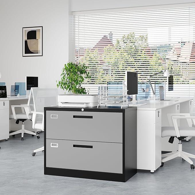 2 Drawer File Cabinet, Lateral Filing Cabinets for Home Office, Office Storage Drawers with Lock, Hanging Files Legal/Letter A4 Size (Assemble Required,Black Grey)
